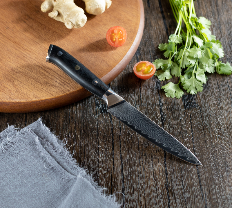 HS1072 Damascus Steel Blade+Wood Handle