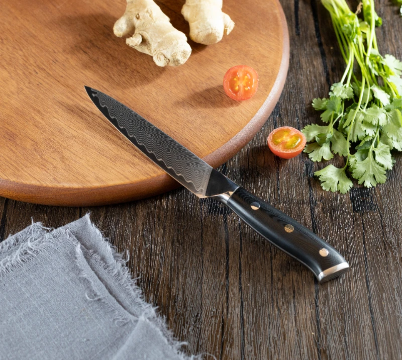 HS1072 Damascus Steel Blade+Wood Handle