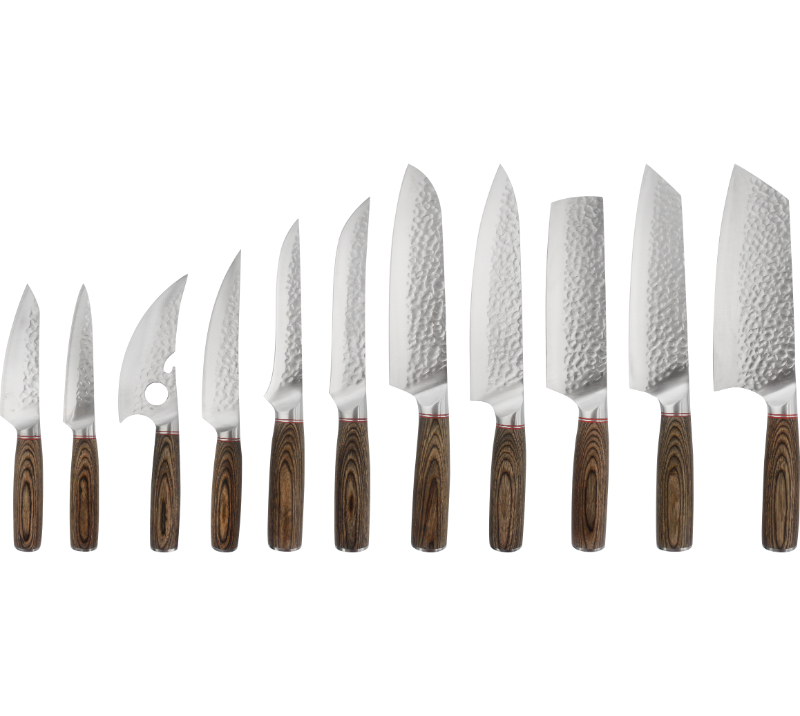 HS4030 Damascus Steel Blade+wood Handle 11 pcs set